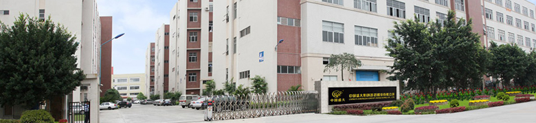 中國盛大集團(香港)股份有限公司 中國盛大集團(香港)股份有限公司